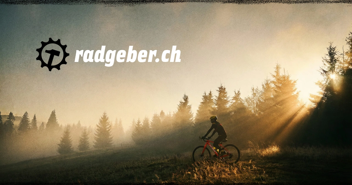 Radgeber
